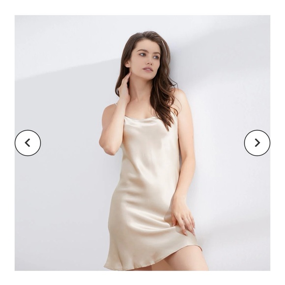 NWT Thxsilk Champagne Silk Chemise - Picture 3 of 7